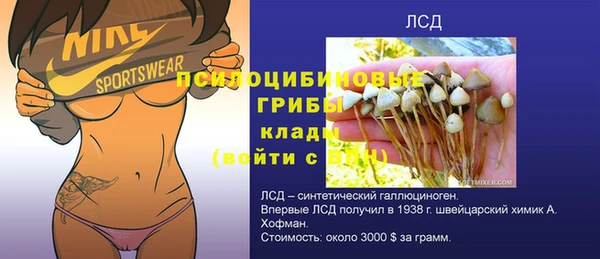 шишки Кулебаки