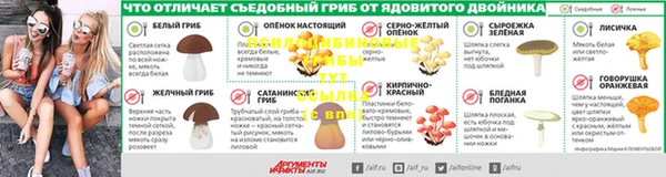 шишки Кулебаки