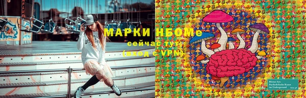 тгк Кукмор