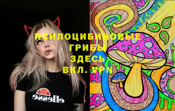 шишки Кулебаки