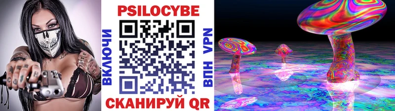 Псилоцибиновые грибы Cubensis  Купить где  Вышний Волочёк 